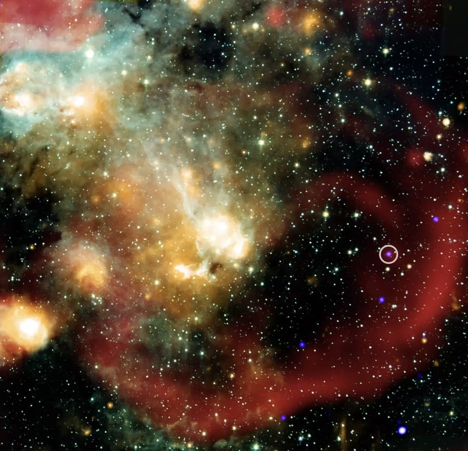 NASA encontra objeto desconhecido no espaço profundo que está enviando sinais misteriosos para a Terra a cada 44 minutos Circulado está o misterioso Askap (NASA/CXC/ICRAR, Curtin Univ./Z. Wang et al)