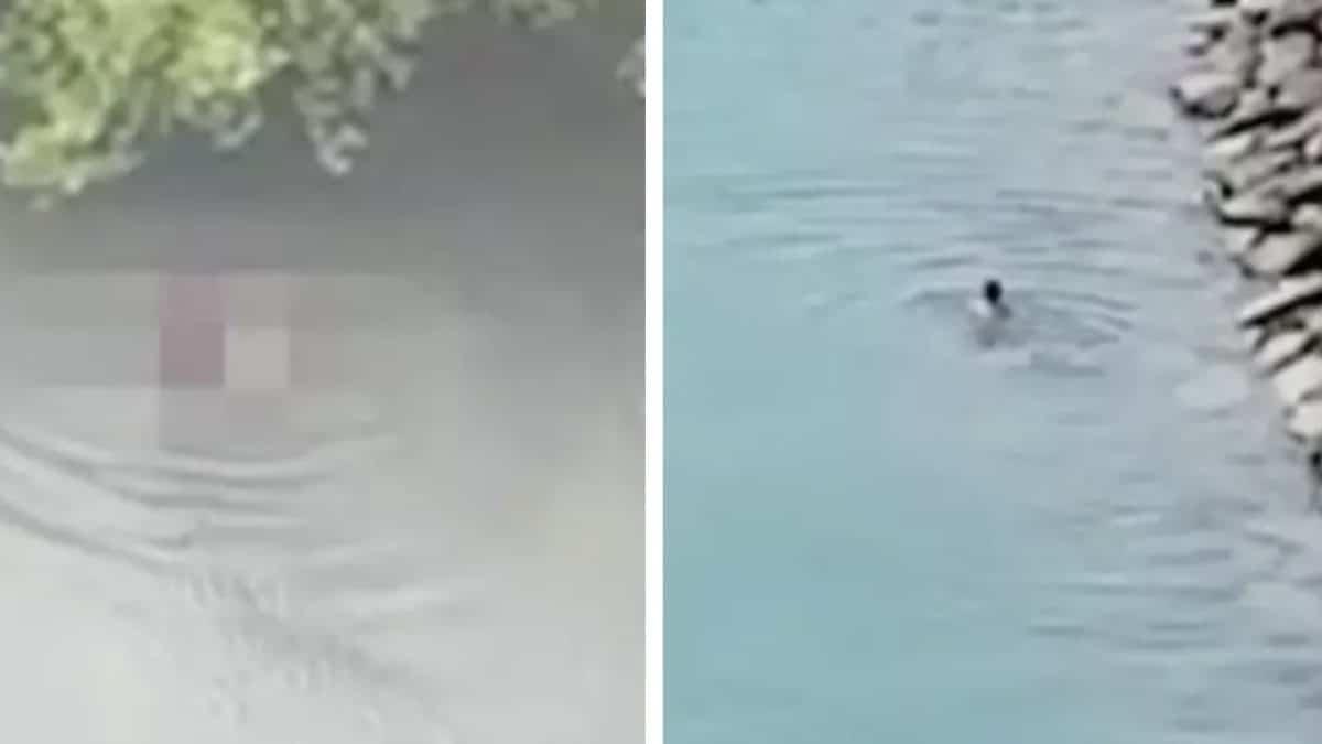 Menino de 1 ano foi devorado por crocodilo na frente do pai após ser arrancado de canoa de pesca