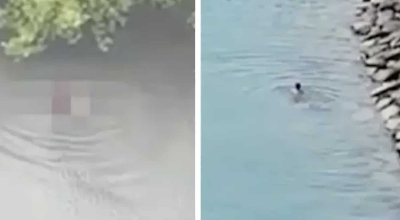 Menino de 1 ano foi devorado por crocodilo na frente do pai após ser arrancado de canoa de pesca