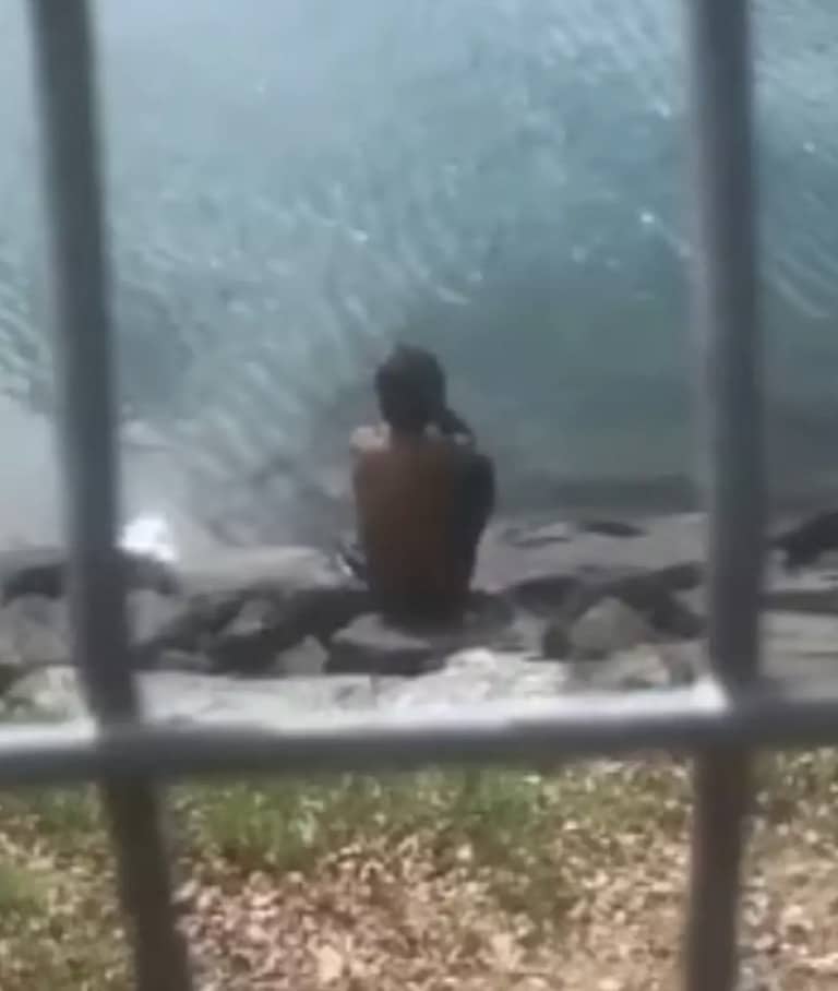 O pai estava pescando à beira da água quando seu filho de um ano foi atacado por um crocodilo (Viral Press)