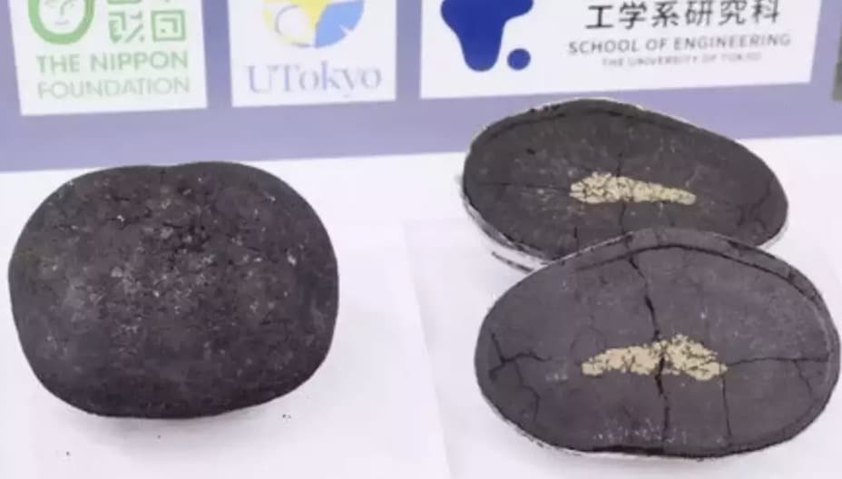 Japão descobre metal que pode mudar drasticamente o mundo após investir 107 bilhões de dólares Os depósitos também contêm cobre (The Nippon Foundation)