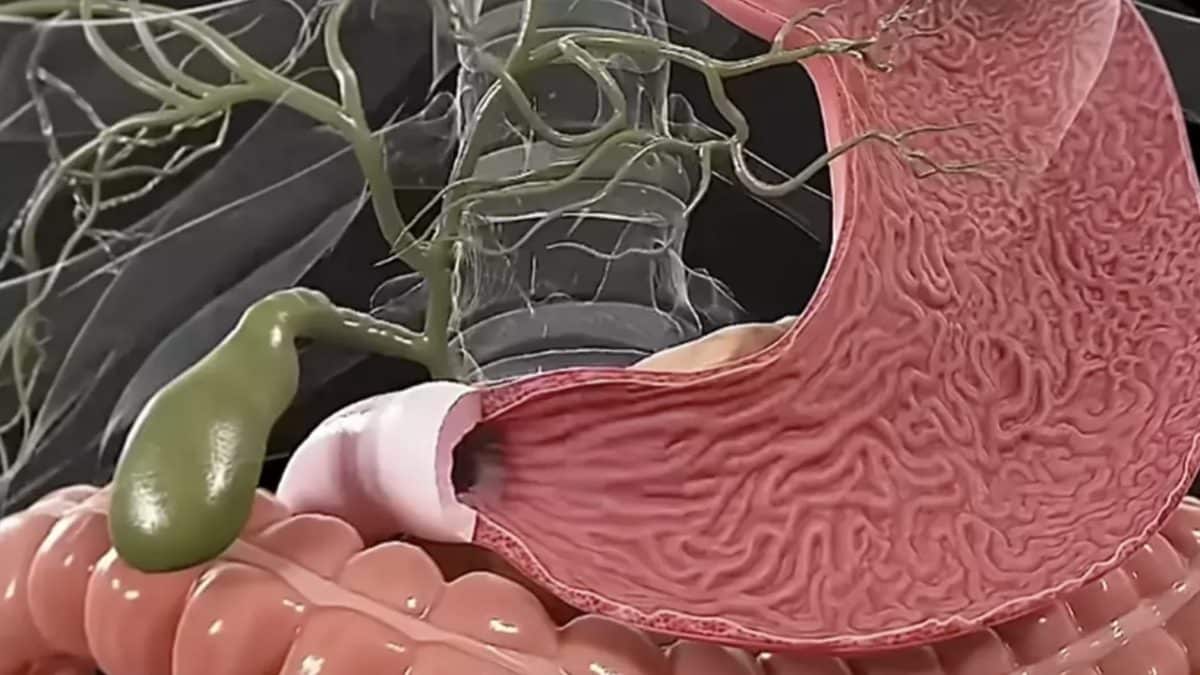 Simulação chocante mostra exatamente o que acontece com seu corpo se você jejuar por 7 dias