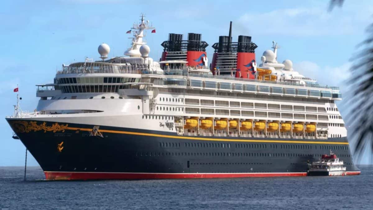Autoridades revelam como menina de 5 anos caiu de cruzeiro da Disney