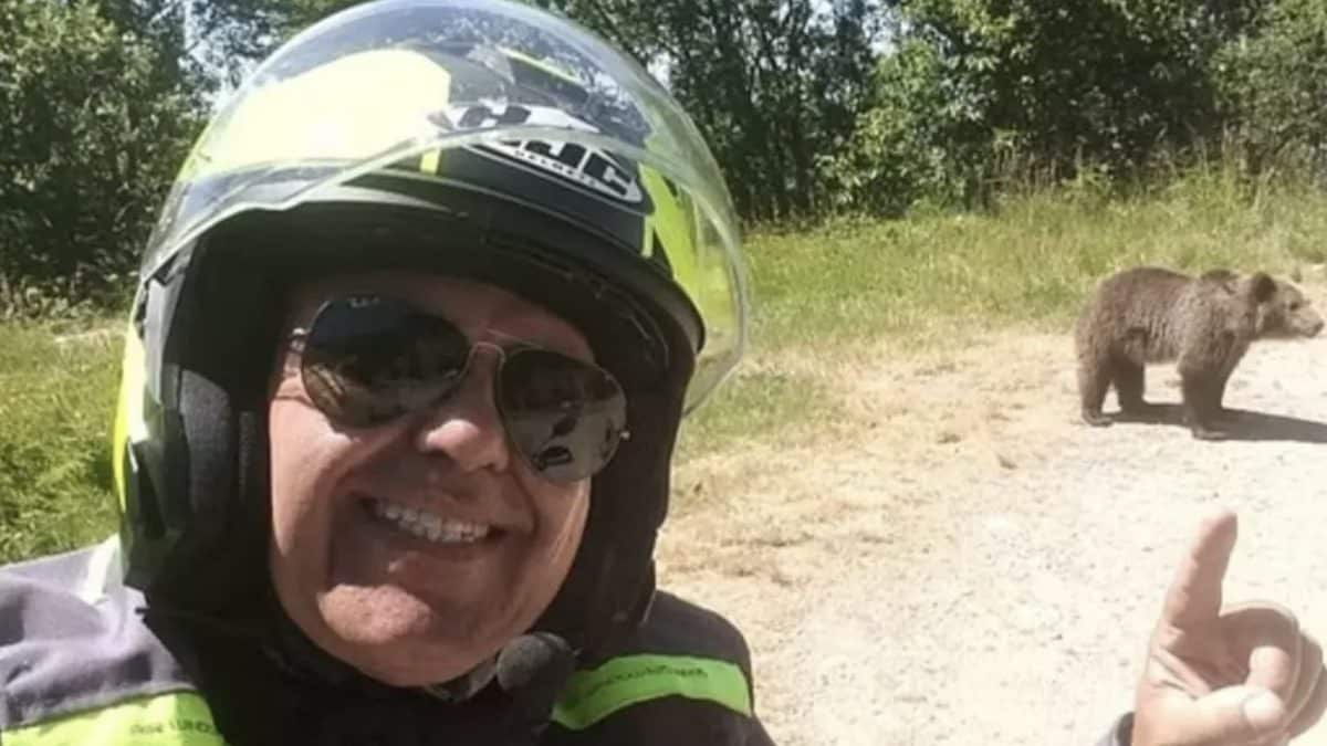 Selfie angustiante de turista com filhote antes de ser morto por ataque de urso
