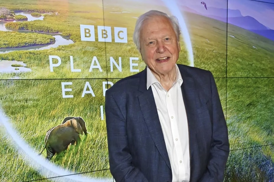 Baleias azuis estão ficando em silêncio em um alerta assustador para a humanidade David Attenborough vem fazendo alertas sobre o futuro dos oceanos há anos