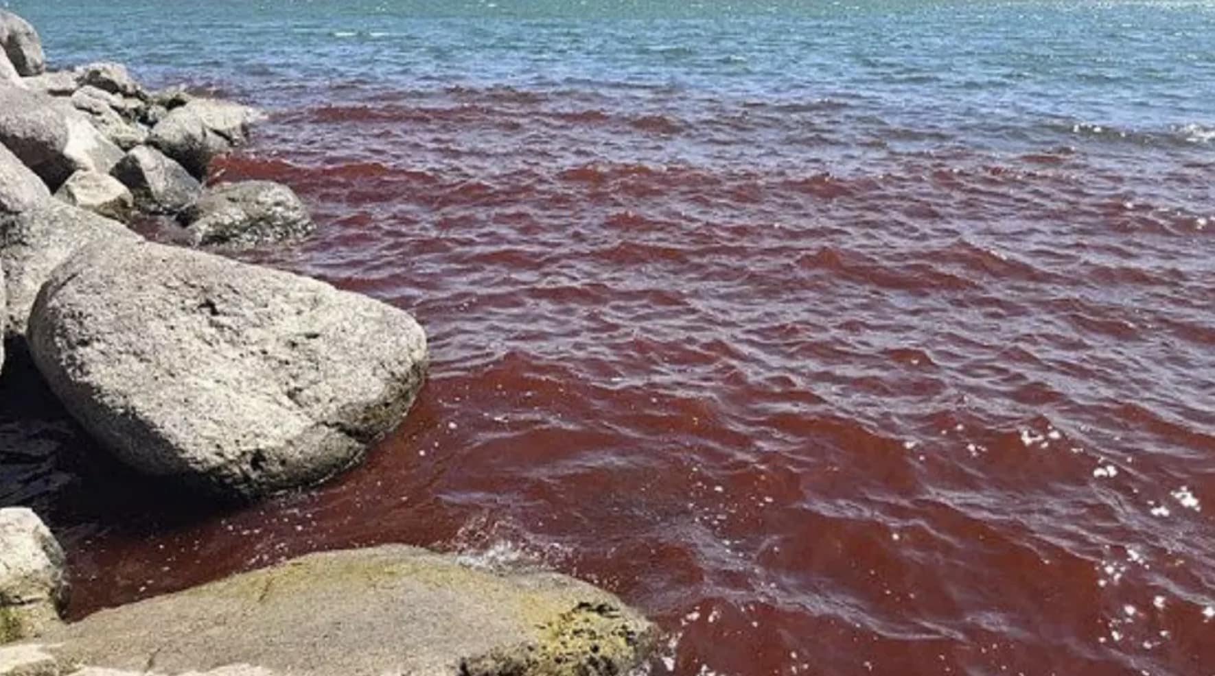 Mar bíblico fica vermelho como sangue, gerando temores de apocalipse enquanto pessoas alertam para "mau presságio" Mar bíblico fica vermelho como sangue, gerando temores de apocalipse enquanto pessoas alertam para "mau presságio"