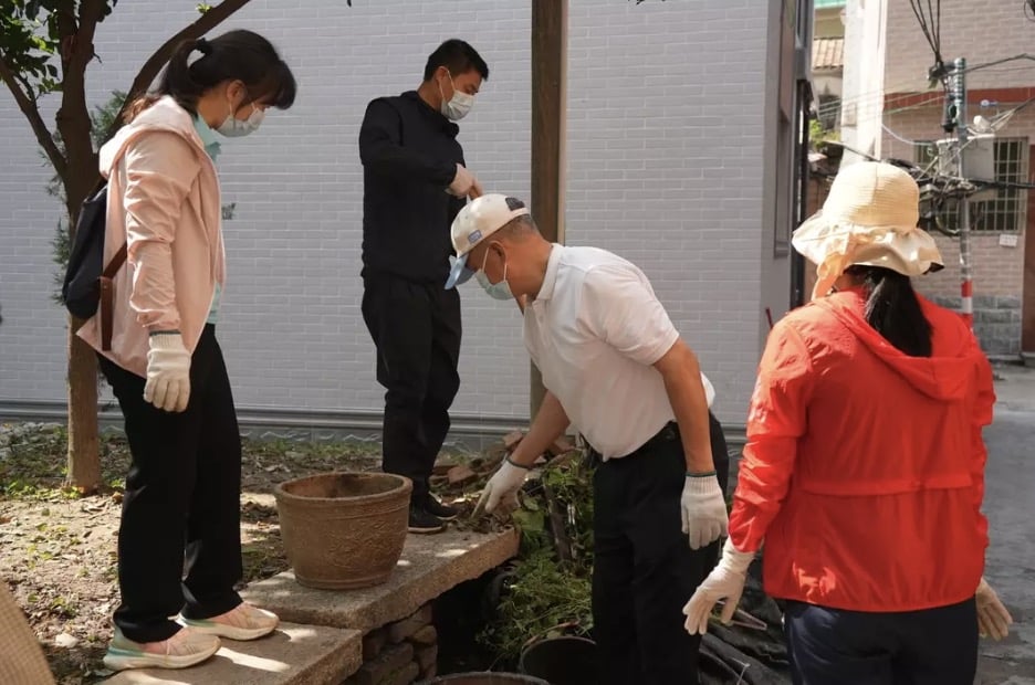 Surto do vírus Chikungunya na China leva o país a adotar "medidas pandêmicas rigorosas" Moradores estão sendo obrigados a eliminar água parada de suas casas