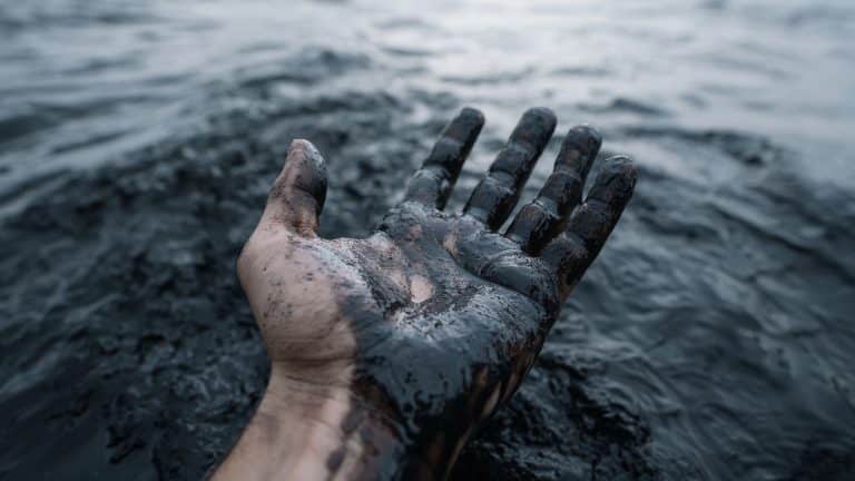 Muita gente não faz ideia de onde o petróleo realmente vem. Não é dos dinossauros