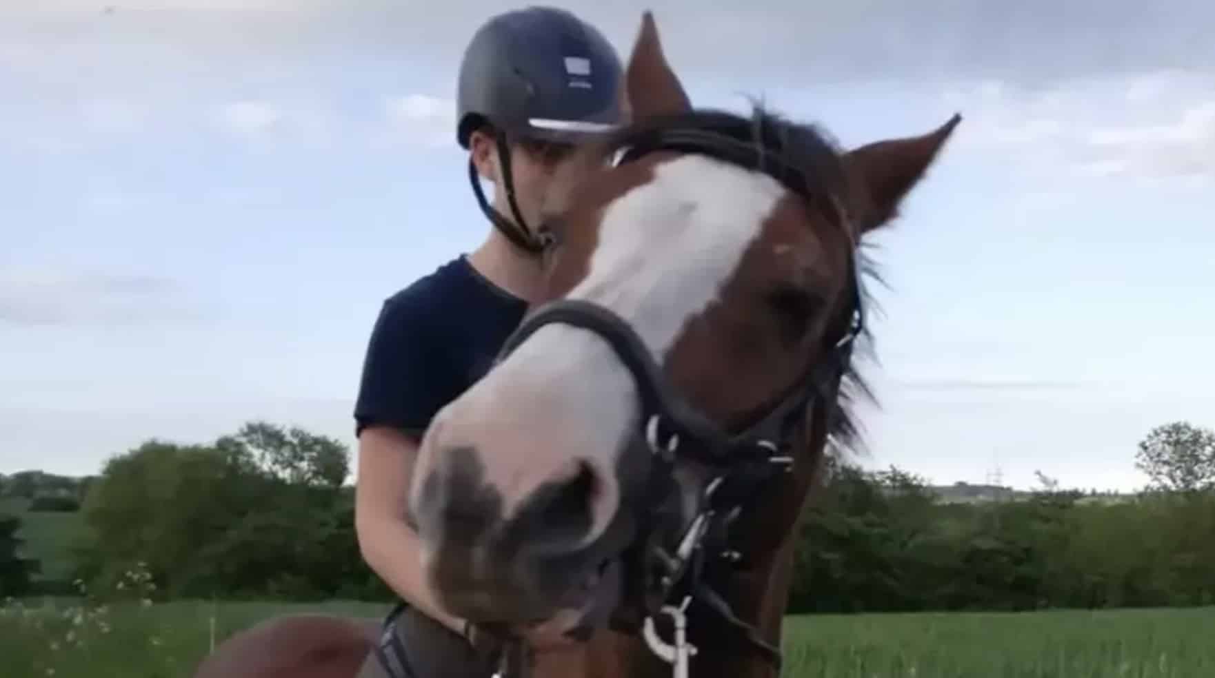 Mulher explica por que deu o pônei da filha para o zoológico ser comido por leões