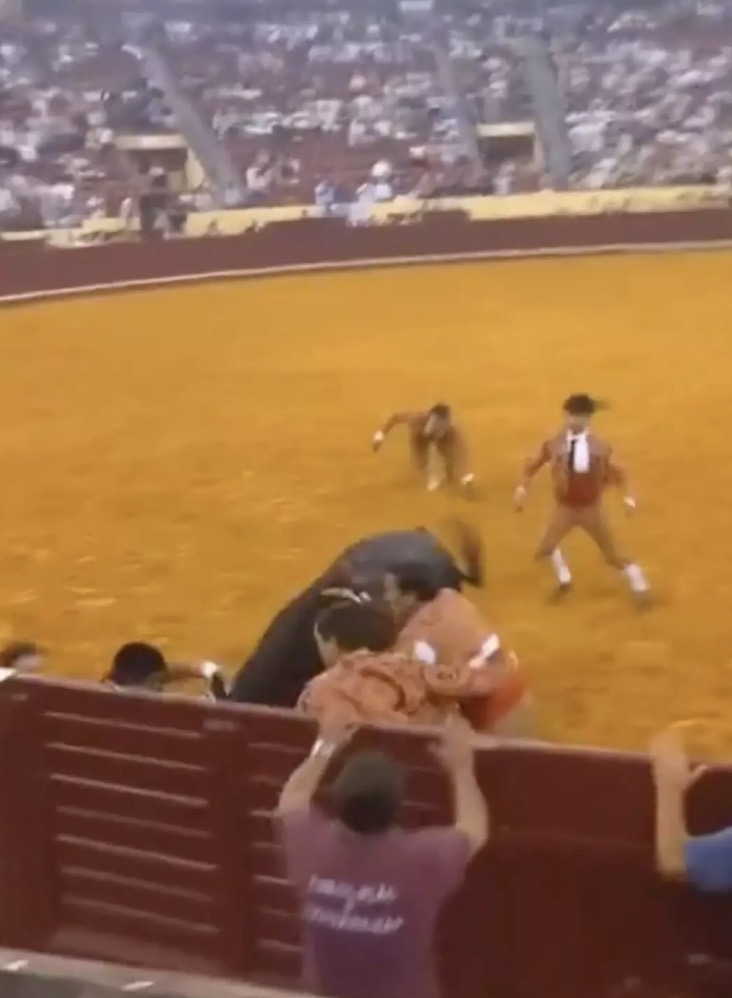 O momento assustador em que toureiro morre após ser levantado e arremessado contra a parede por um touro diante da multidão