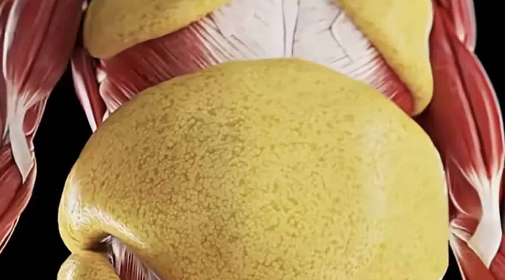 Simulação chocante mostra o que acontece com seu corpo durante um jejum de 24 horas