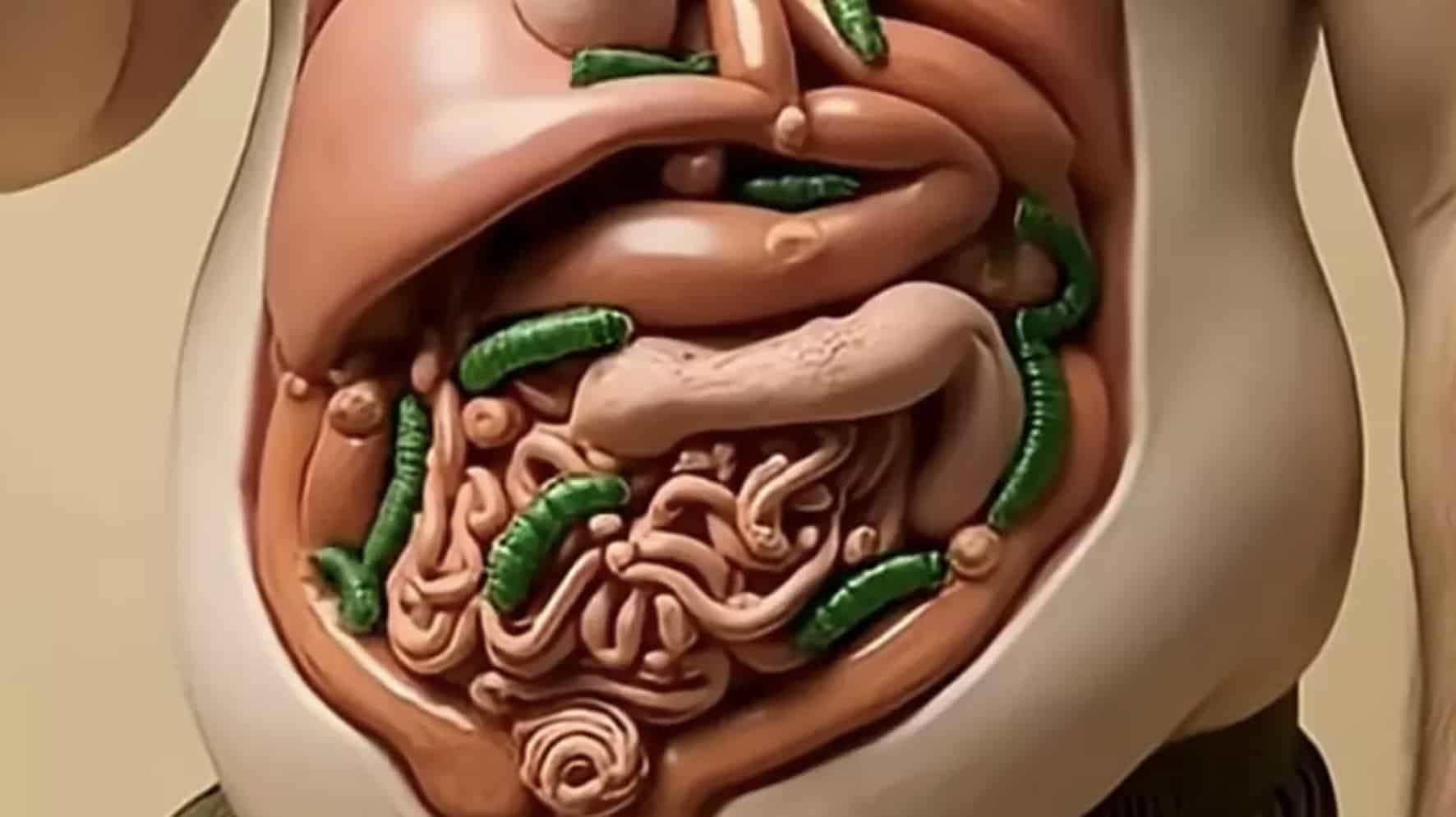 Simulação de cair o queixo mostra o que acontece com seu corpo quando você come um superalimento popular todos os dias