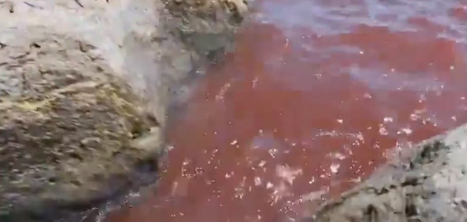 Mar bíblico fica vermelho como sangue, gerando temores de apocalipse enquanto pessoas alertam para "mau presságio" Um vídeo do lago vermelho viralizou no X (Shiran Unger)