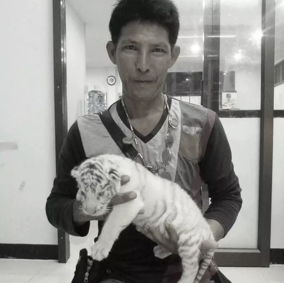 Zelador de zoológico é devorado por um bando de leões em ataque horrível diante de turistas Jian trabalhou com animais por 30 anos (Viral Press)