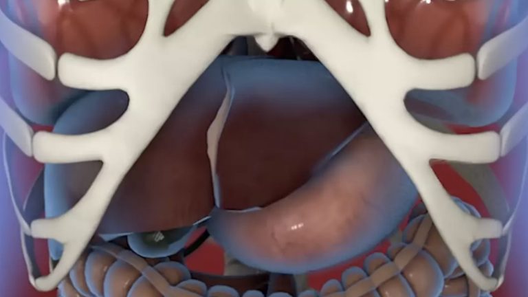 Simulação chocante mostra o que acontece com seu corpo quando você fica uma semana sem comer enquanto um homem relata o grande impacto que isso teve