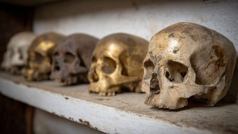 Algo há 900.000 mil anos fez 99% da vida humana ser extinta