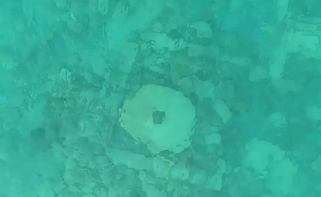 Arqueólogos fazem descoberta impressionante de uma "Atlântida da vida real" ao encontrar cidade submersa após 525 anos A equipe encontrou evidências de uma cidade perdida, segundo a Academia Russa de Ciências