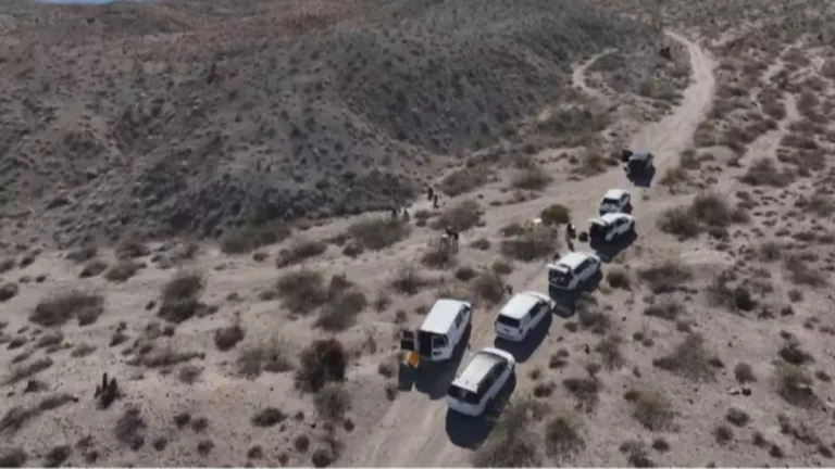 Busca em andamento após mais de 300 pilhas de restos humanos serem encontradas no deserto
