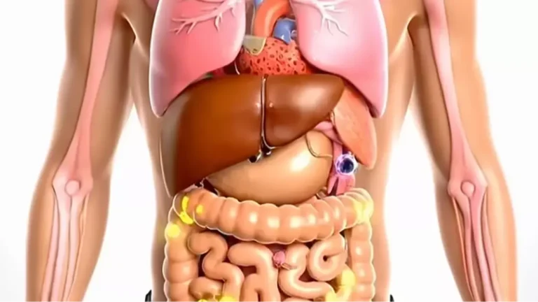 Simulação chocante mostra exatamente o que acontece com seu corpo se você parar de consumir açúcar por sete dias
