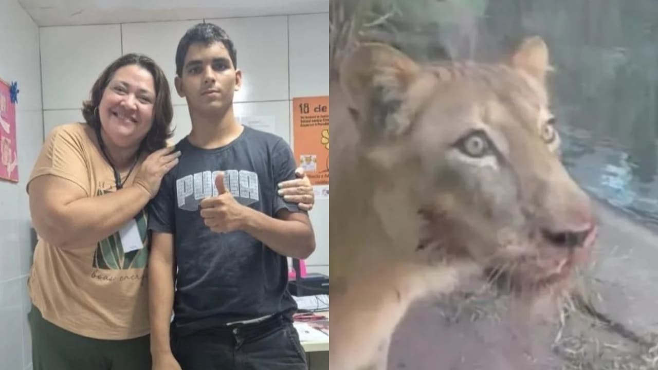 Jovem que entrou no recinto dizia querer treinar leões e carregava histórico de abandono