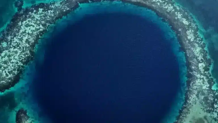 Momento assustador em que um drone subaquático lançado até o fundo do Grande Buraco Azul registra imagens que vão "aterrorizar o mundo"