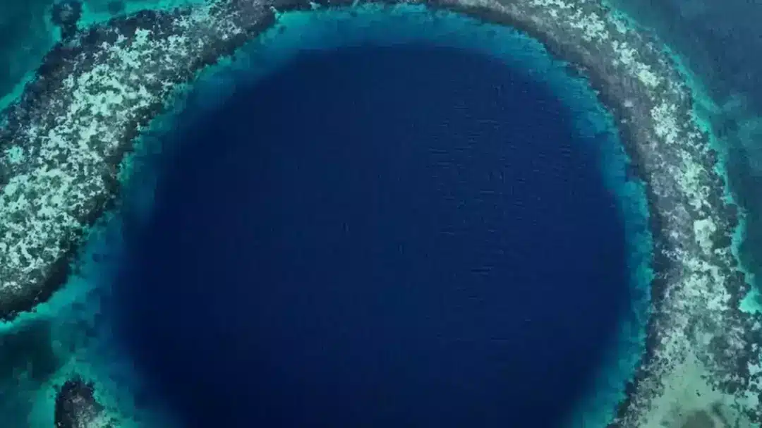 Momento assustador em que um drone subaquático lançado até o fundo do Grande Buraco Azul registra imagens que vão “aterrorizar o mundo”