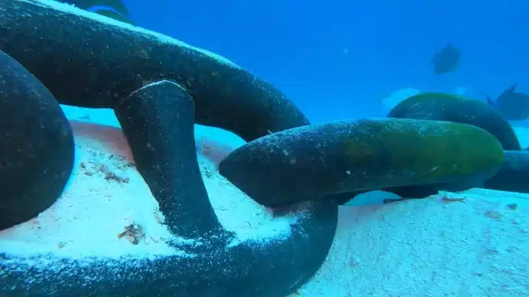 A "realidade aterrorizante" é revelada depois que um homem jogou uma GoPro de um navio de cruzeiro no oceano