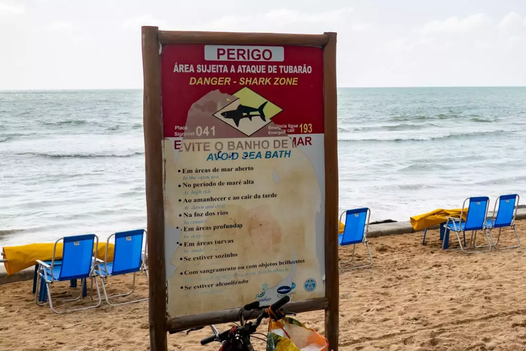 Menino de 13 anos morre após ser atacado por um tubarão em uma praia no Brasil Um sinal de alerta sobre tubarões em uma praia no Brasil