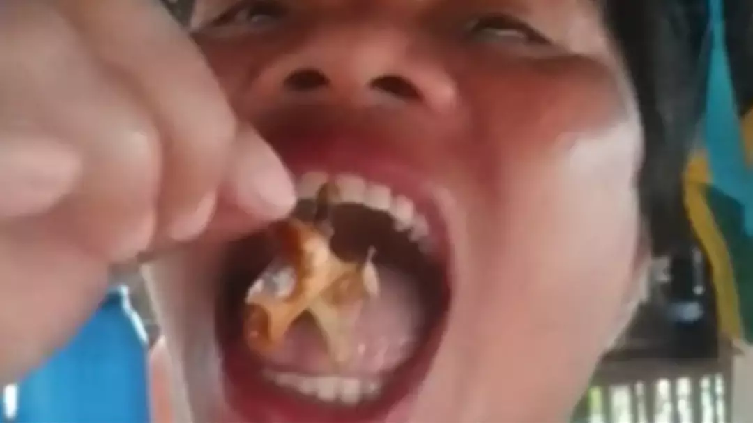 Autoridades emitem alerta urgente após blogueiro de comida morrer depois de comer o “caranguejo-do-diabo”