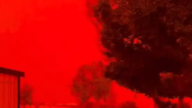 Céu fica vermelho-sangue em alerta ominoso para a Austrália