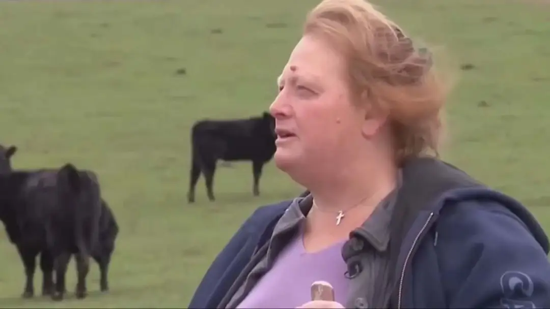 Mulher revela por que sua família está recusando uma oferta de 26 milhões de dólares para transformar parte da fazenda em um datacenter