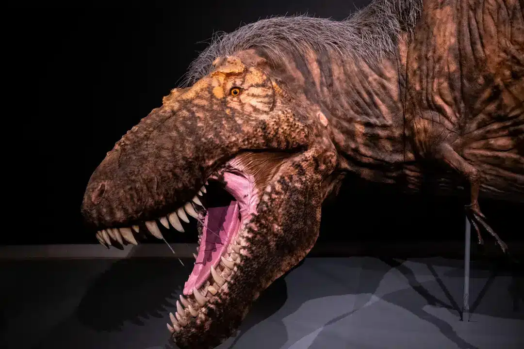 Cientistas criaram a primeira bolsa de couro de T-Rex da história, com um preço extremamente alto