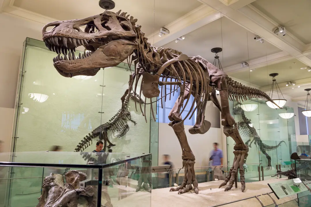 Cientistas criaram a primeira bolsa de couro de T-Rex da história, com um preço extremamente alto