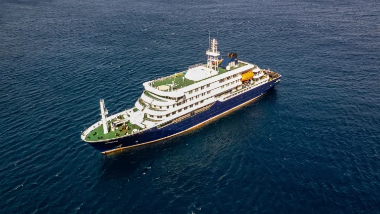 "Paciente zero" do surto de hantavírus em um navio de cruzeiro é identificado como homem que visitou um lixão infestado de ratos