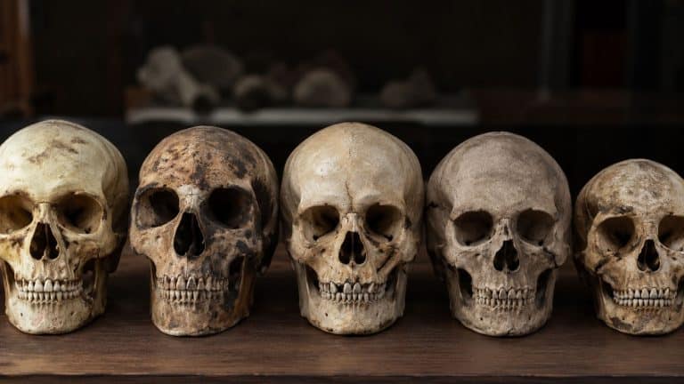 Descobriram um ancestral humano perdido que muda completamente a história da evolução