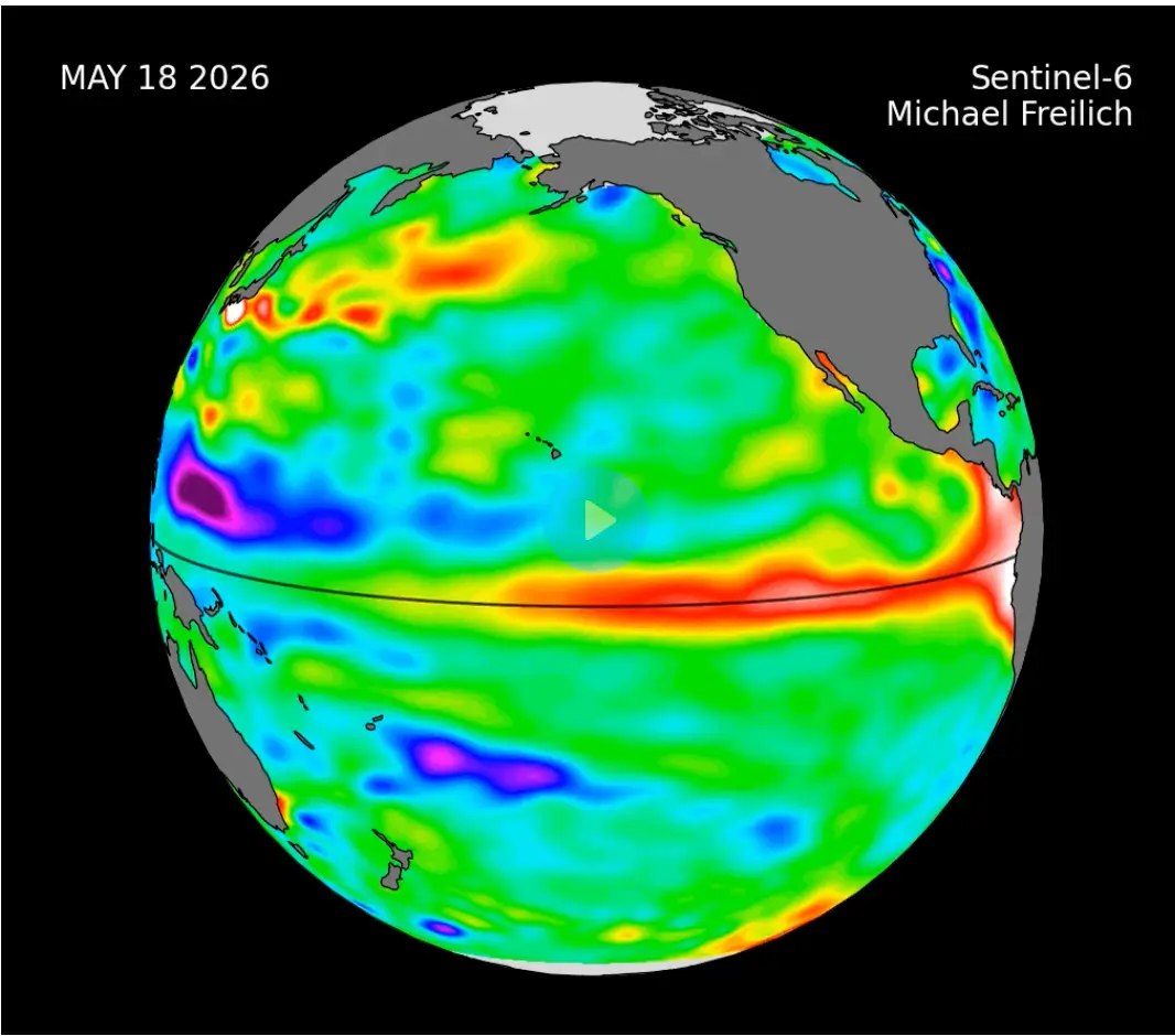 Ondas Kelvin quentes frequentemente precedem eventos El Niño. (NASA/JPL-Caltech)