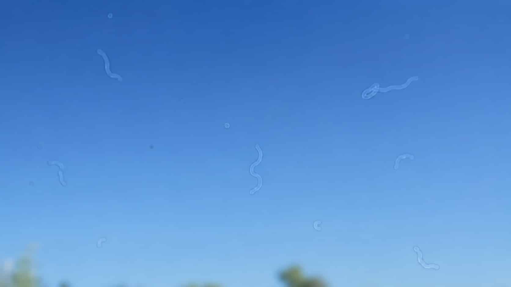 Por que você vê “manchas flutuantes” nos olhos? Especialista explica o que fazer caso perceba isso