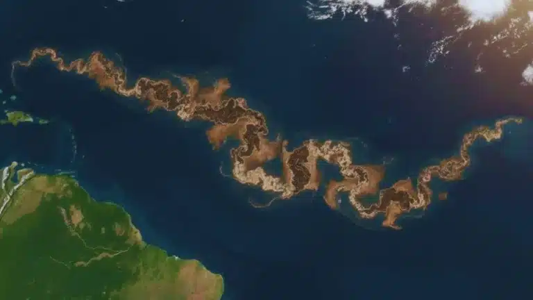 Surge uma faixa marrom enorme entre o Brasil e a África. Não é petróleo, mas algo que parece ainda mais perigoso
