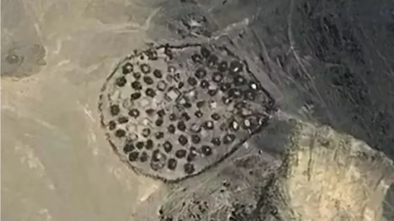 260 valas comuns repletas de ossos humanos e de animais são descobertas no deserto, todas com uma característica perturbadora em comum