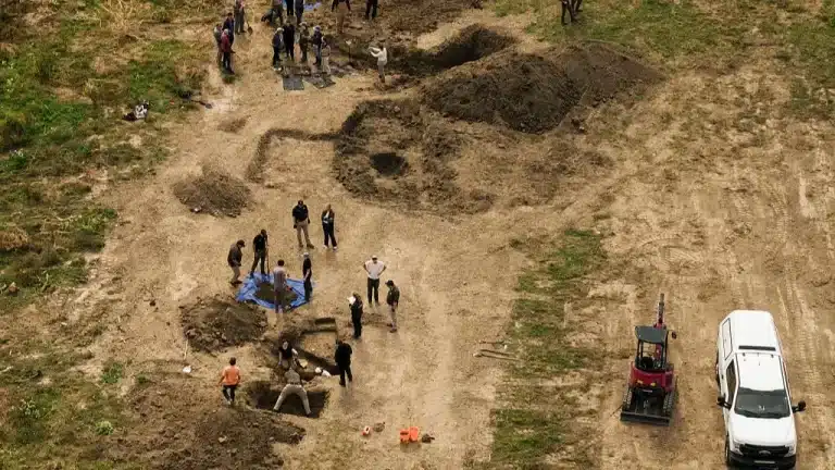 vala comum com mais de 100 cães mortos é encontrada em local de resgate animal
