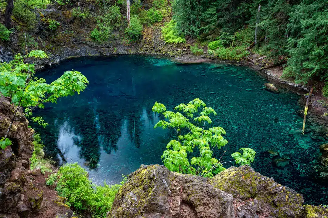 Estudante universitário morre após pular na famosa "Piscina Azul", enquanto autoridades emitem um alerta urgente sobre os perigos do local A área 'Blue Pool' é conhecida pelos serviços de emergência locais